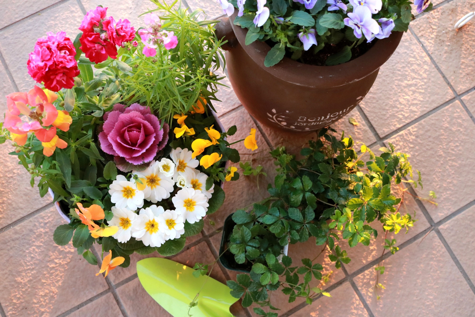 お花の寄せ植えワークショップ