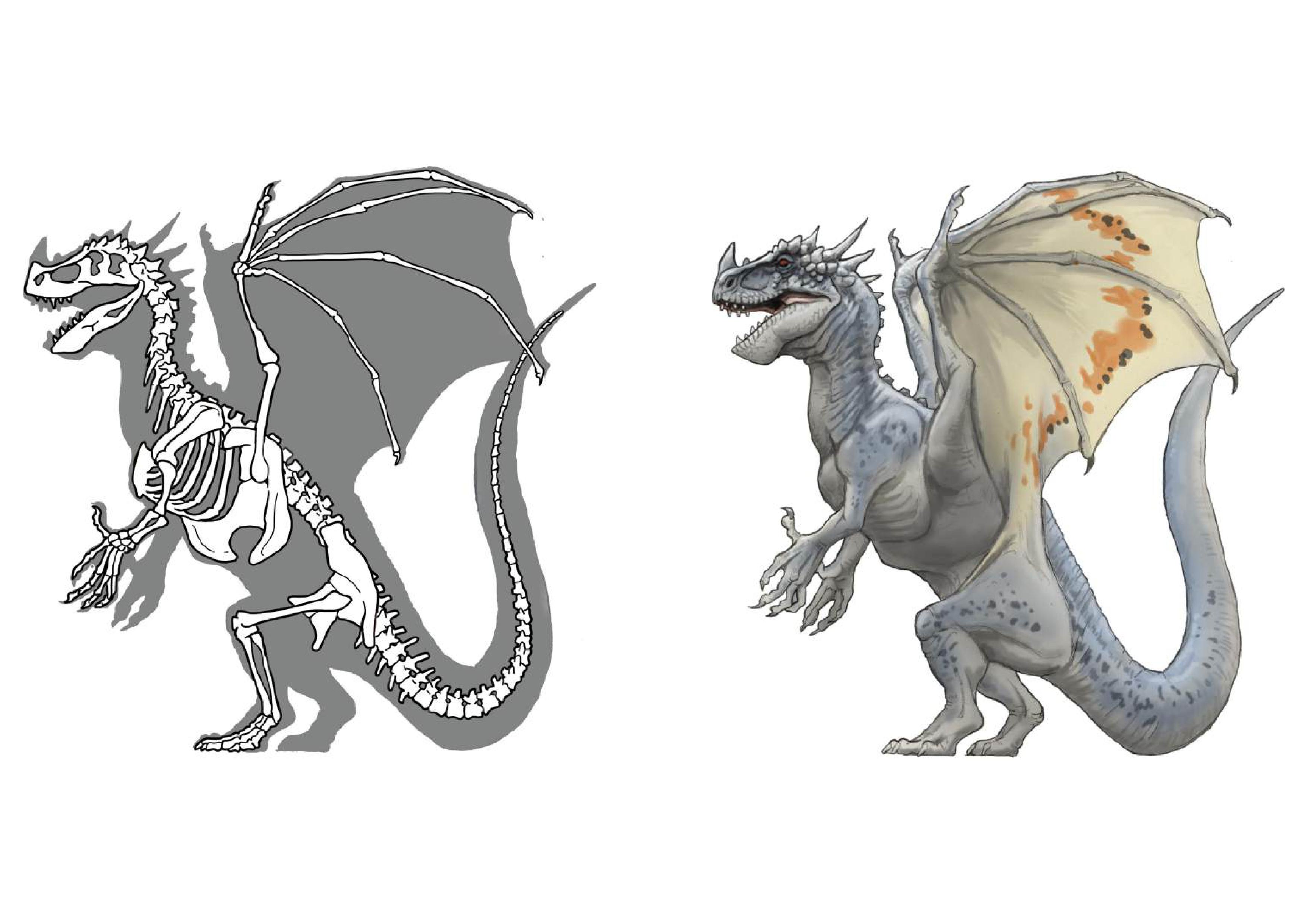 もしも空想動物が現実にいるとしたら