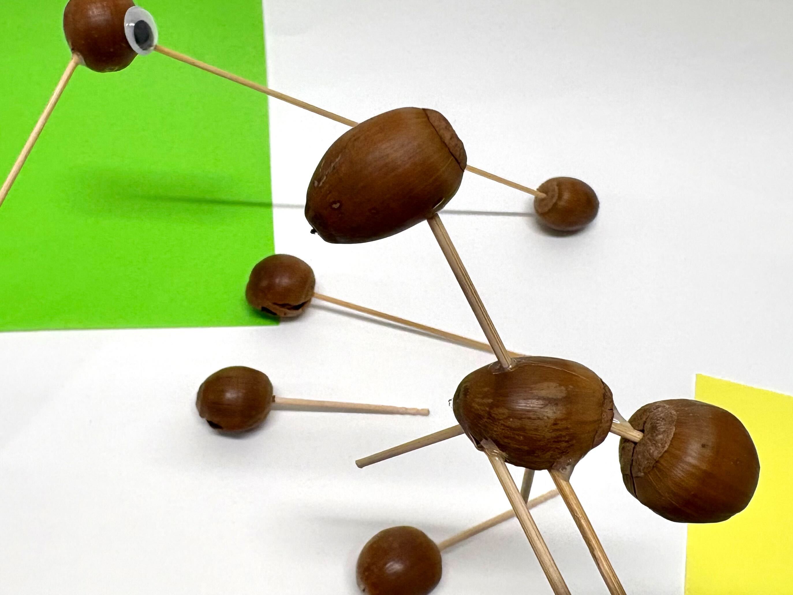 ひらめきラボ特別編～どんぐり博士になろう～