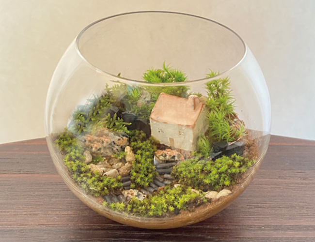 苔リウム【苔でつくる小さな世界】