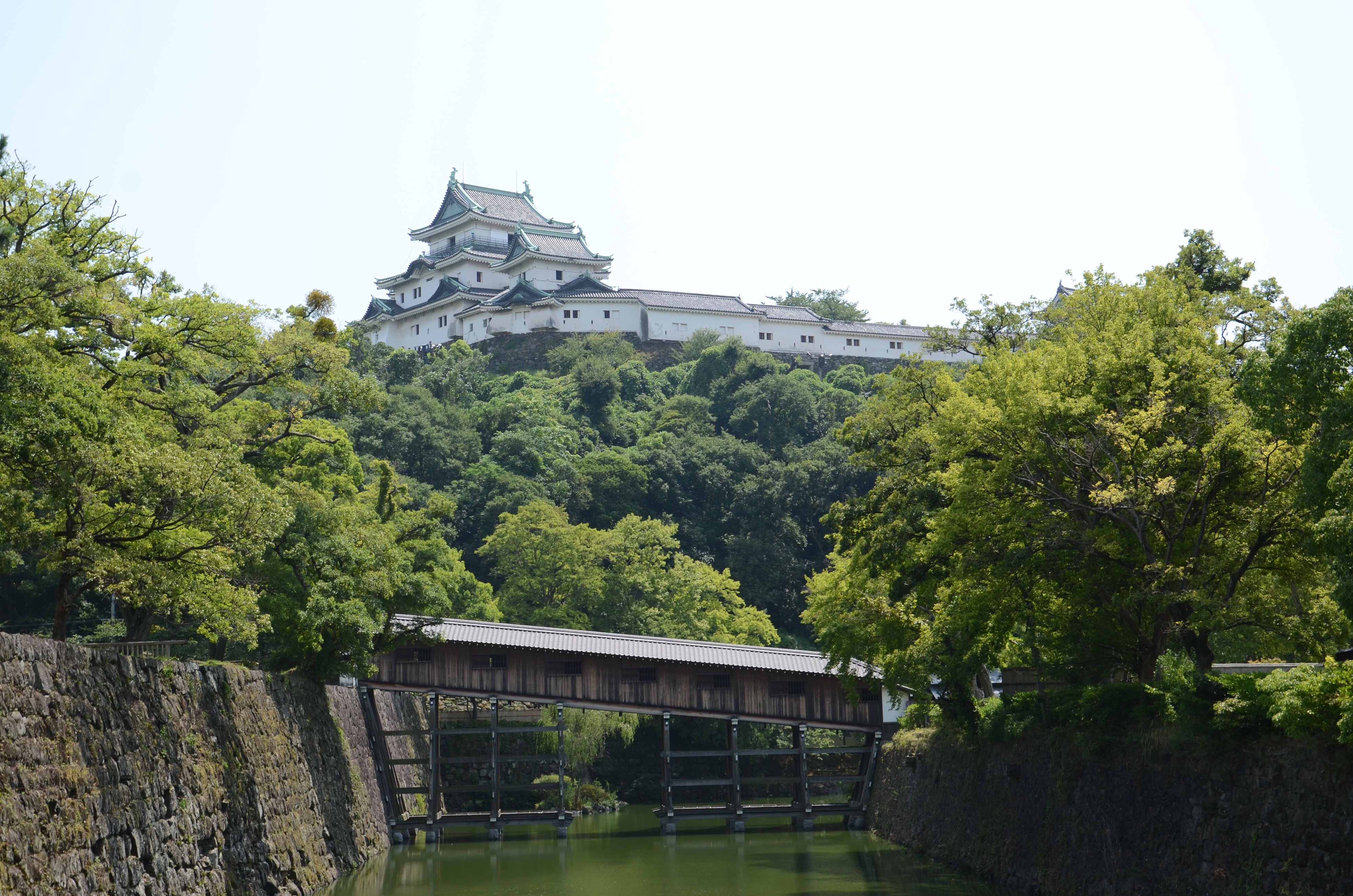 【45周年記念】わかやま夜学～和歌山城トリビア～