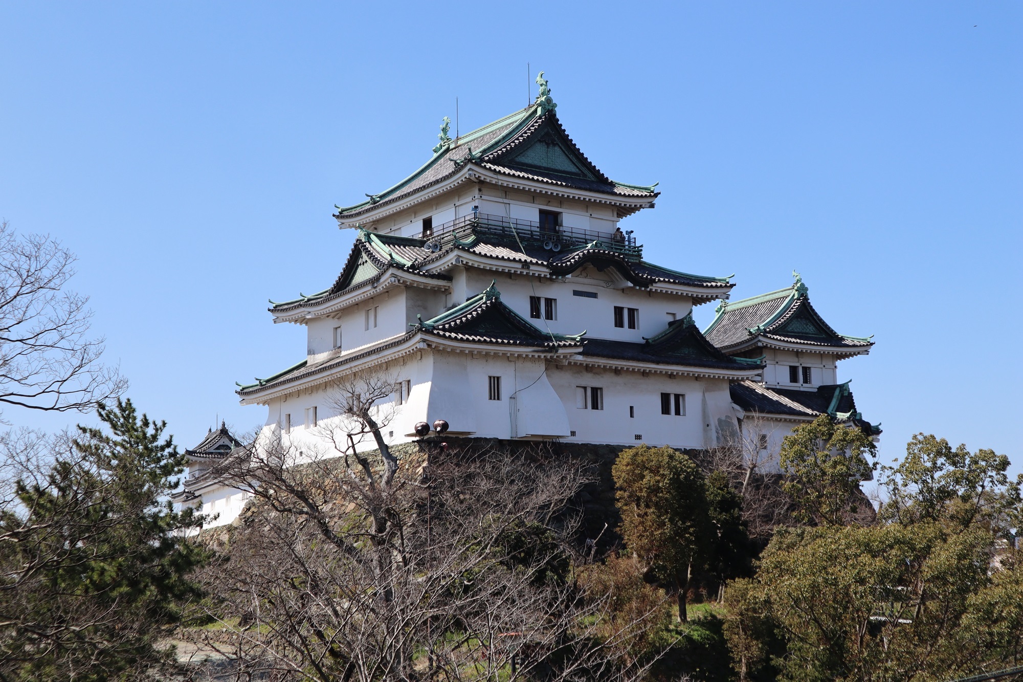 もっと知ろう！和歌山城